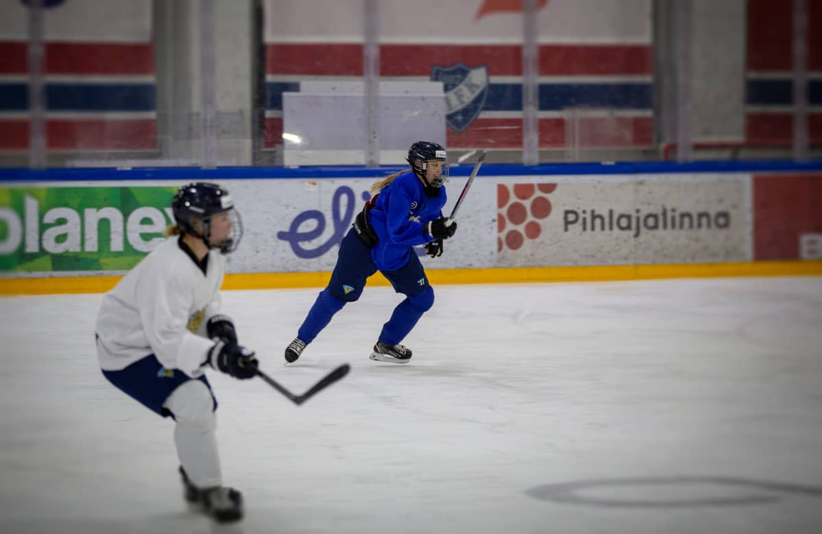 Julia Liikala, Naisleijonat
