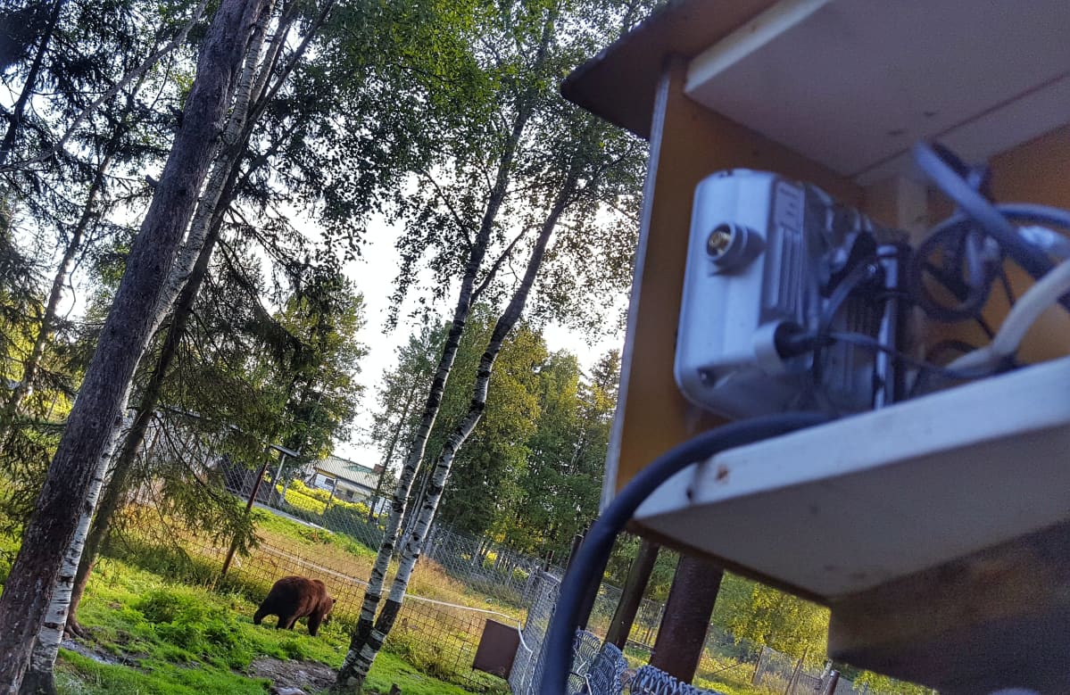 Live-kamera Kuusamon suurpetokeskuksessa.
