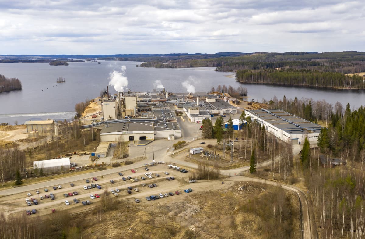 Metsä Woodin Suolahden vaneritehtaat ilmasta.