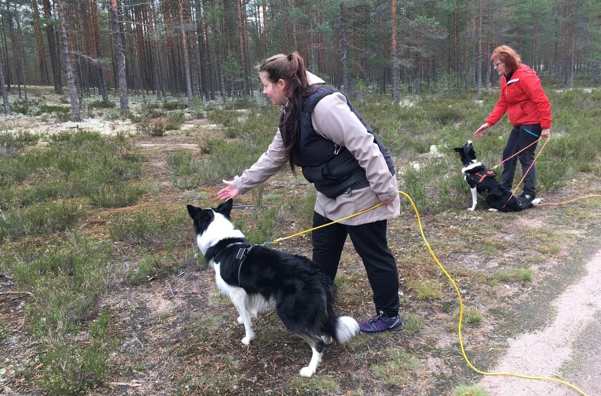 Veera Waarna ja Päivi Kapanen koiriensa kanssa Jämijärvellä.