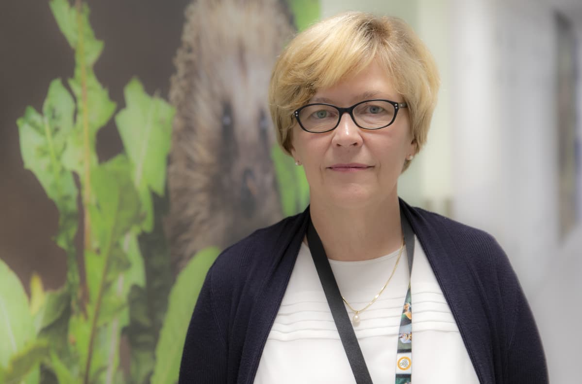 Marja-Leena Lähdeaho
