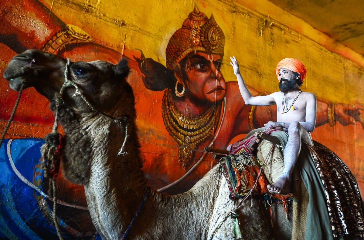 Alaston intialainen pyhä mies ratsastaa kamelilla kohti Sangamia Kumbh Mela -festivaalille.