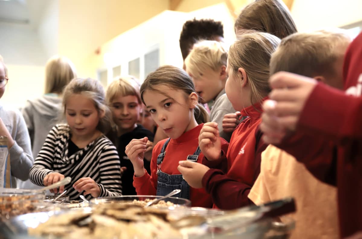 Koululaiset maistoivat hyönteisruokaa Porissa.