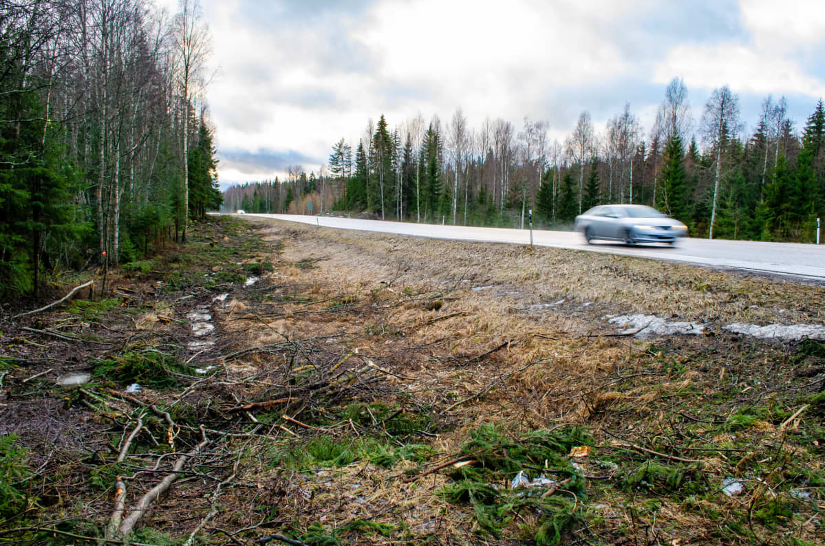 Raivattua metsää tien vieressä.