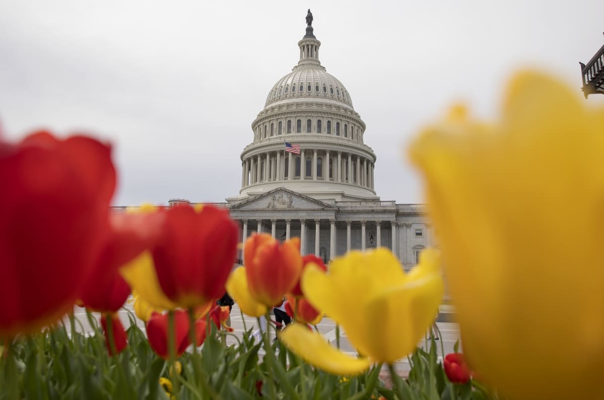 Yhdysvaltain kongressin rakennus Washingtonissa.