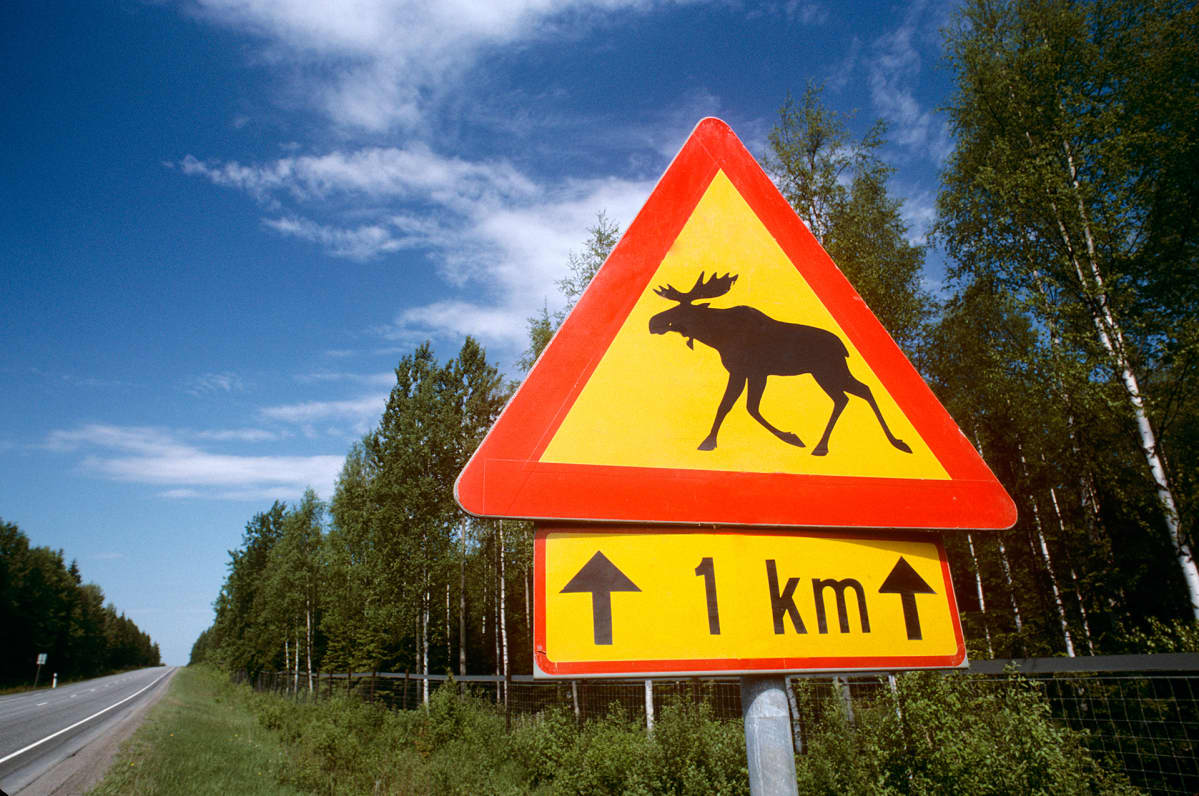 Liikennemerkki hirvivaroitus.