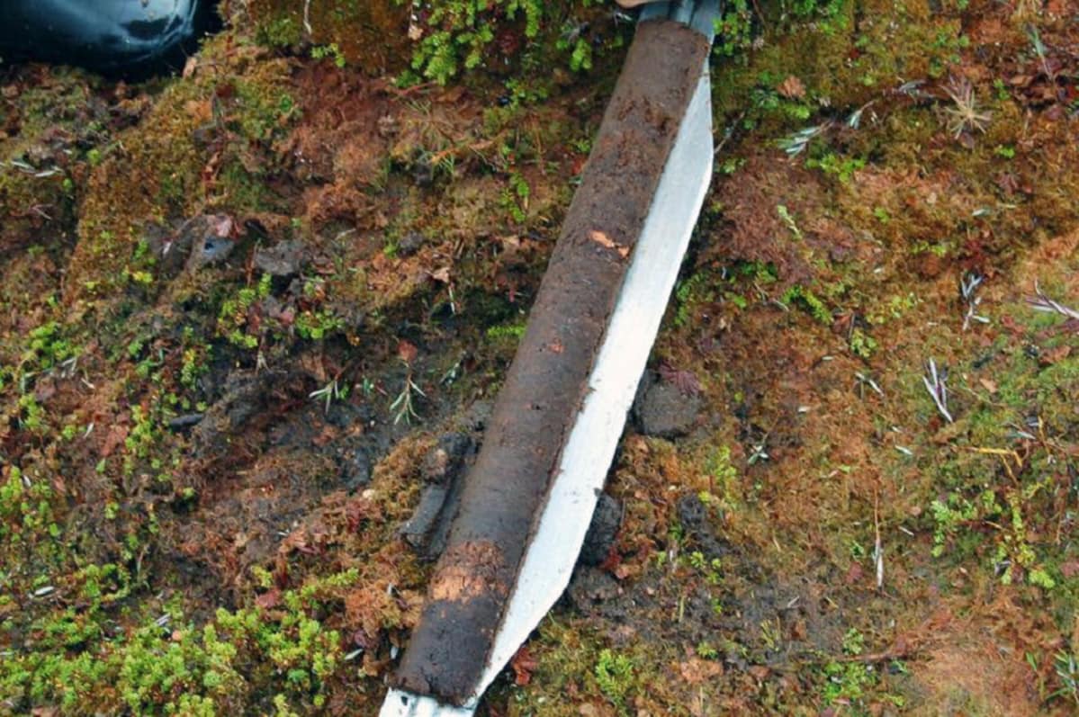 Turvekairalla olettu näyte suon pinnalla.