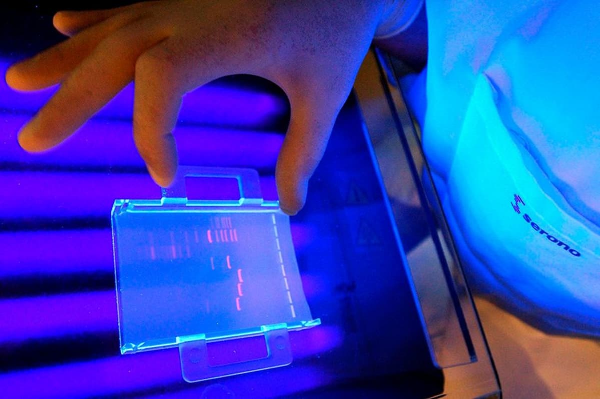 DNA:n tutkimista laboratoriossa.