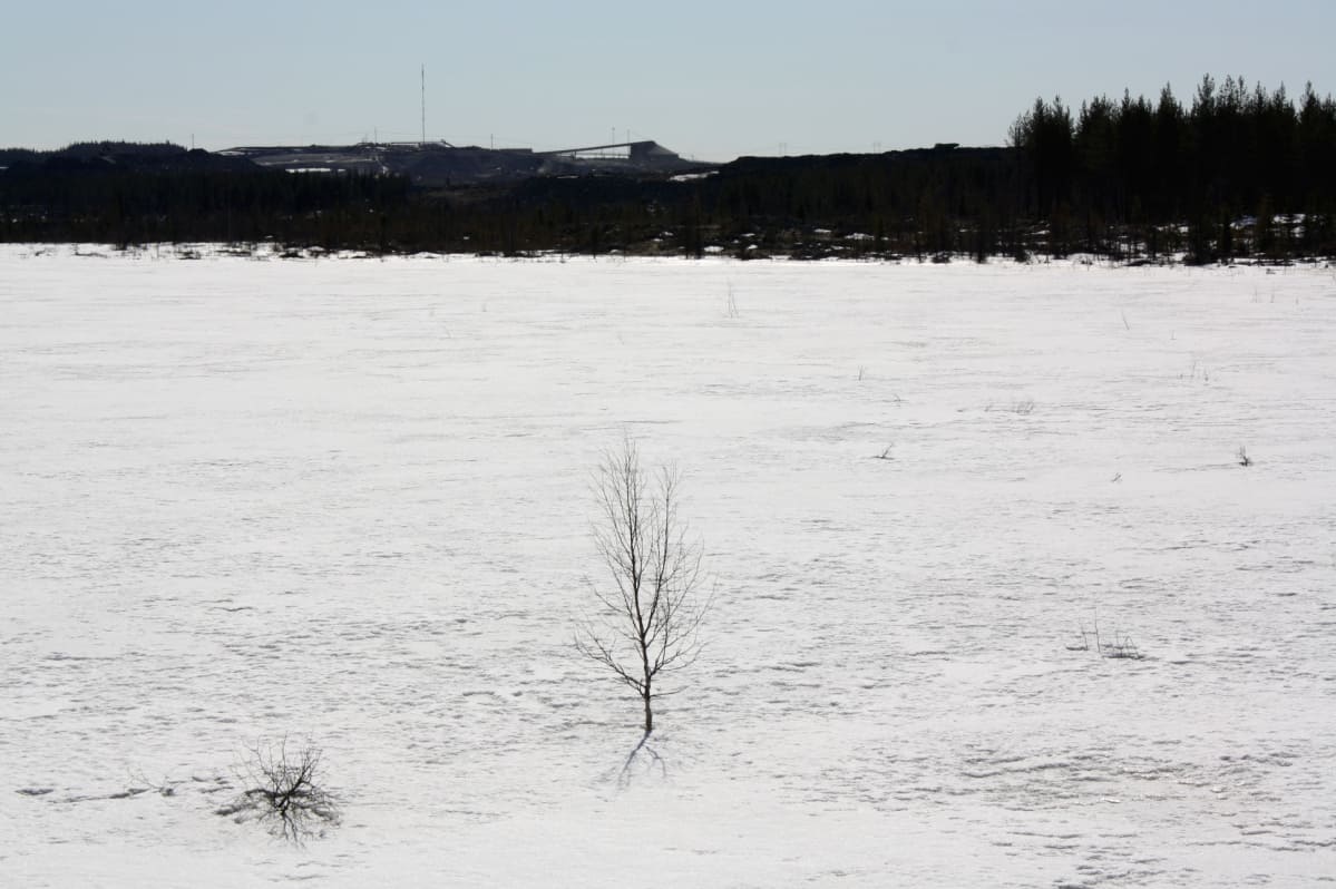 Terrafamen Latosuon allas talvella.