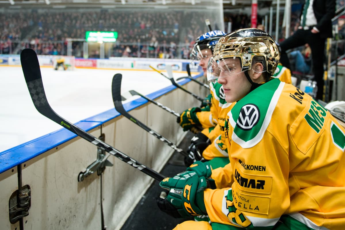 Ville Meskanen, Ilves