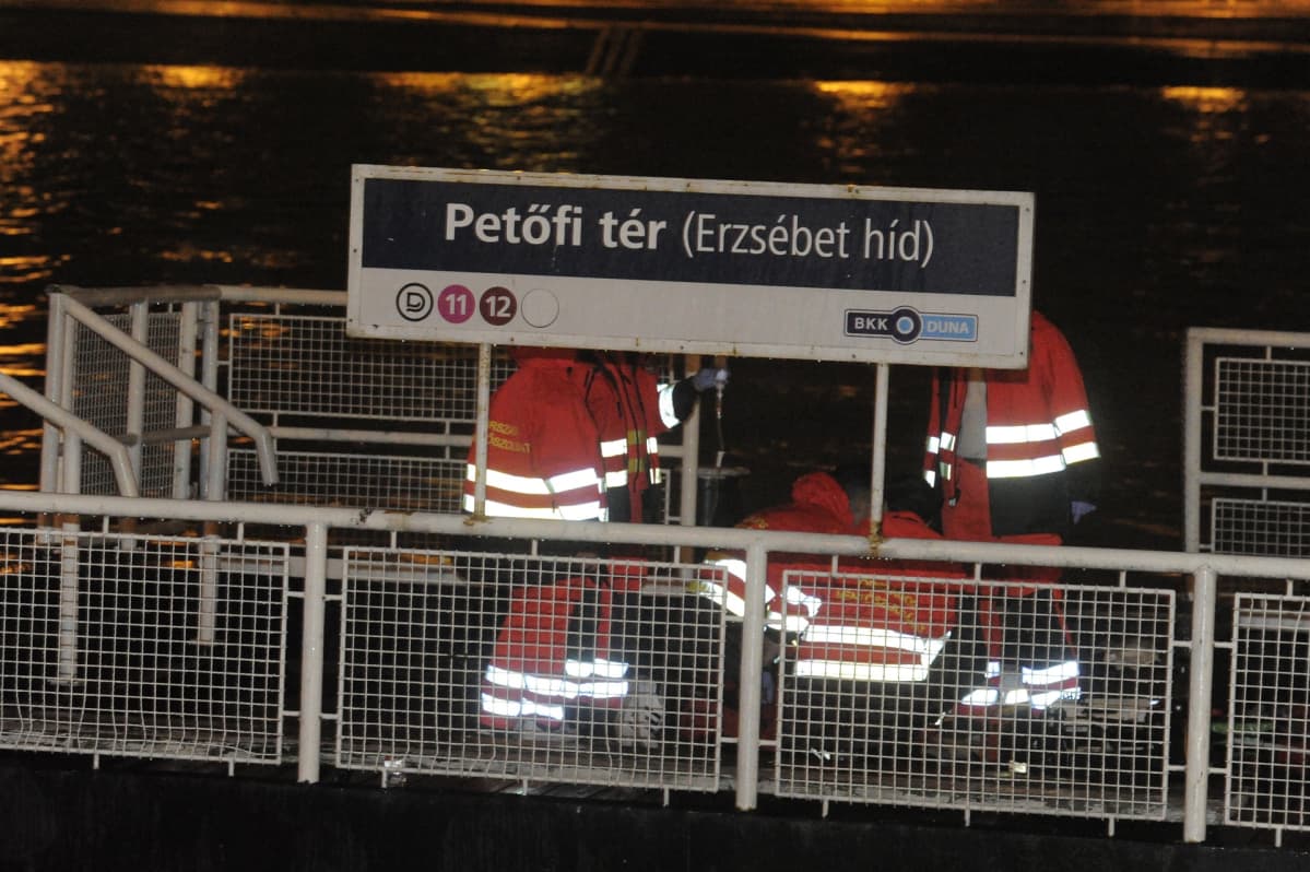 Pelastushenkilöstö työskenteli yötä myöten jokialuksen upottua Tonavalla.