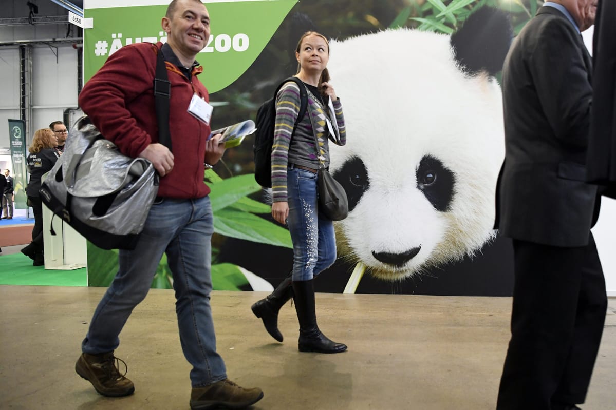 Pandan kuva Ähtäri Zoo -eläinpuiston osastolla Matka 2018 -messuilla Helsingissä
