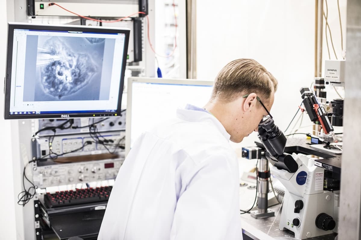 BioMaljaTutkimus, kantasolu, BioMediTech