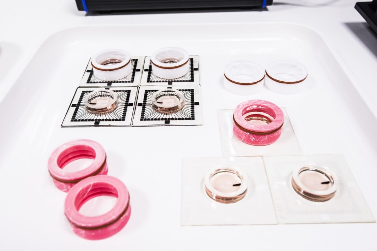 Biomaljat, kantasolututkimus, BioMediTech