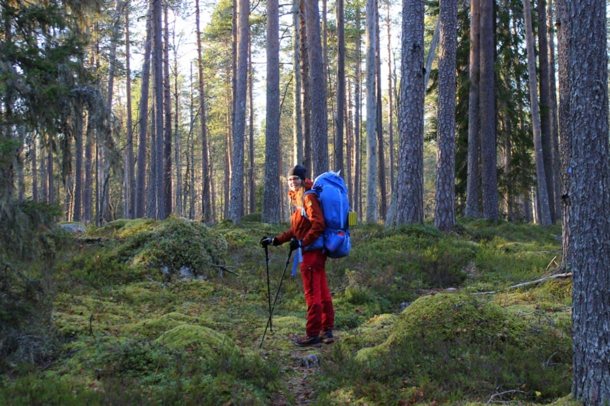 Retkeilijä lähdössä metsään rinkka selässä ja kävelysauvat kädessä.