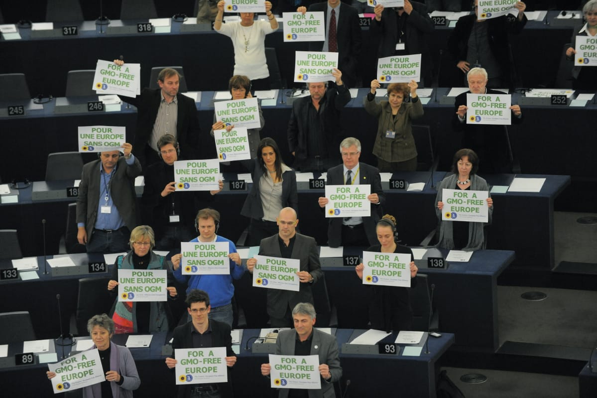 Europarlamentaarikot vastutivat geenimanipuloituja elintarvikkeita maaliskuussa 2010.
