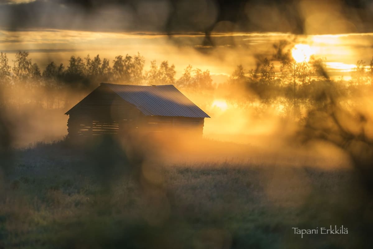 Lato ja nouseva aurinko