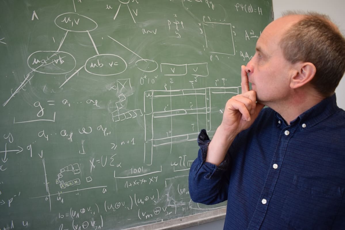 professori Jarkko Kari, Turun yliopisto