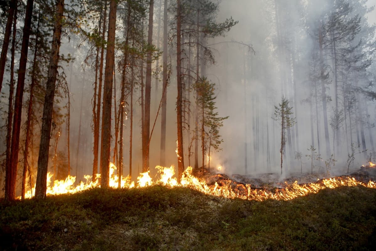 Metsäpalo Ljusdalin kupeessa 17.07.2018.
