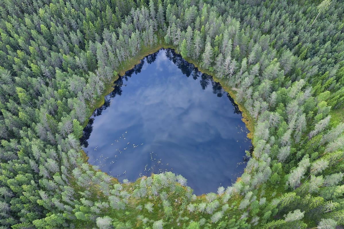 Ilmakuva sydämen muotoisesta lammesta metsässä