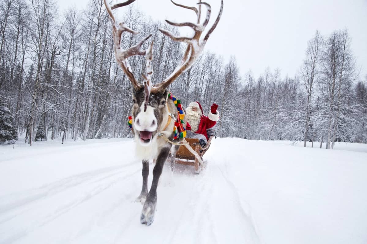 Joulupukki poron pulkassa lumisella tiellä.