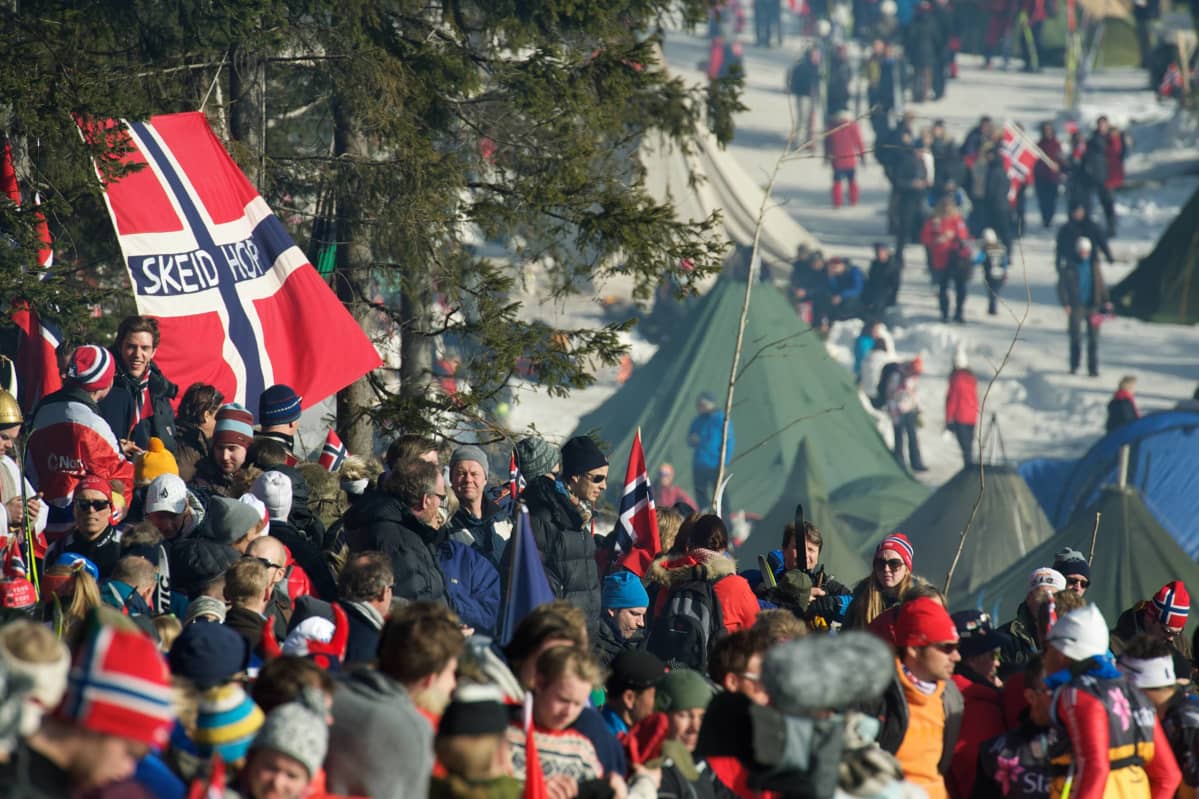 Holmenkollen fanit
