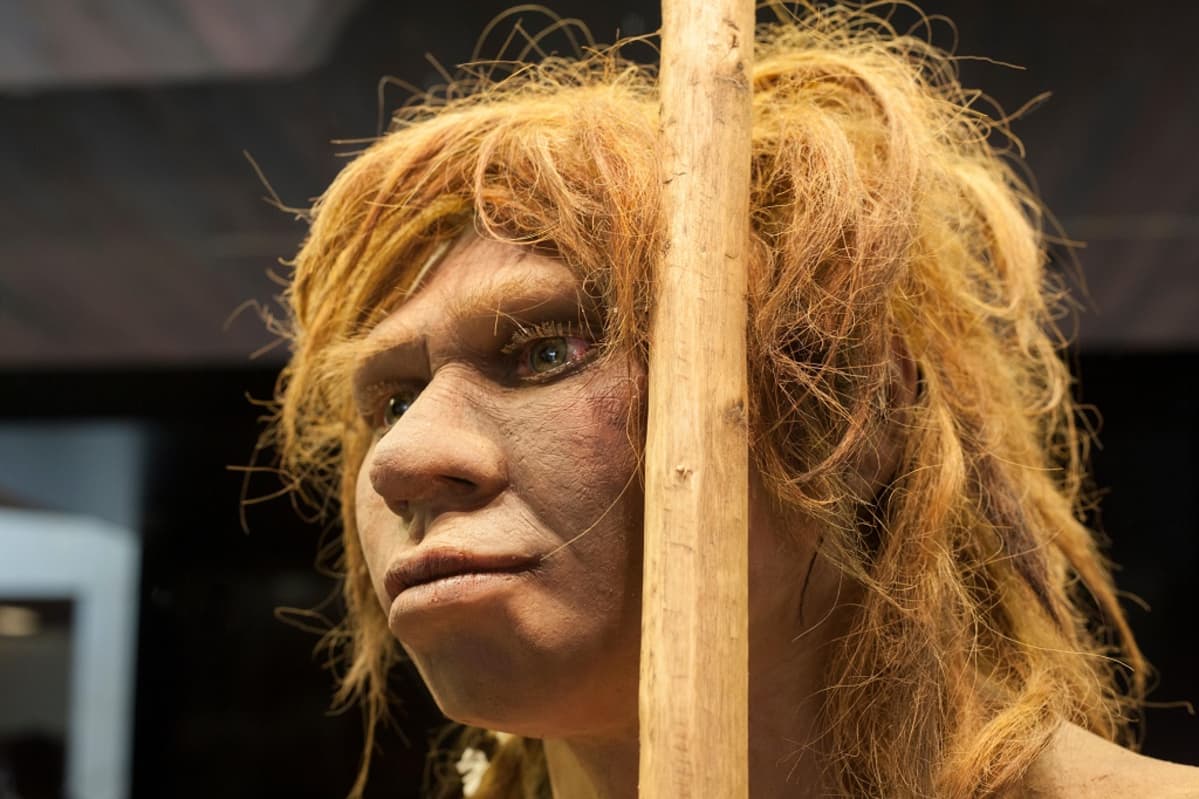 Neandertalalilaisnaisen rekonstruktio Madridin arkeologisessa museossa Espanjassa.