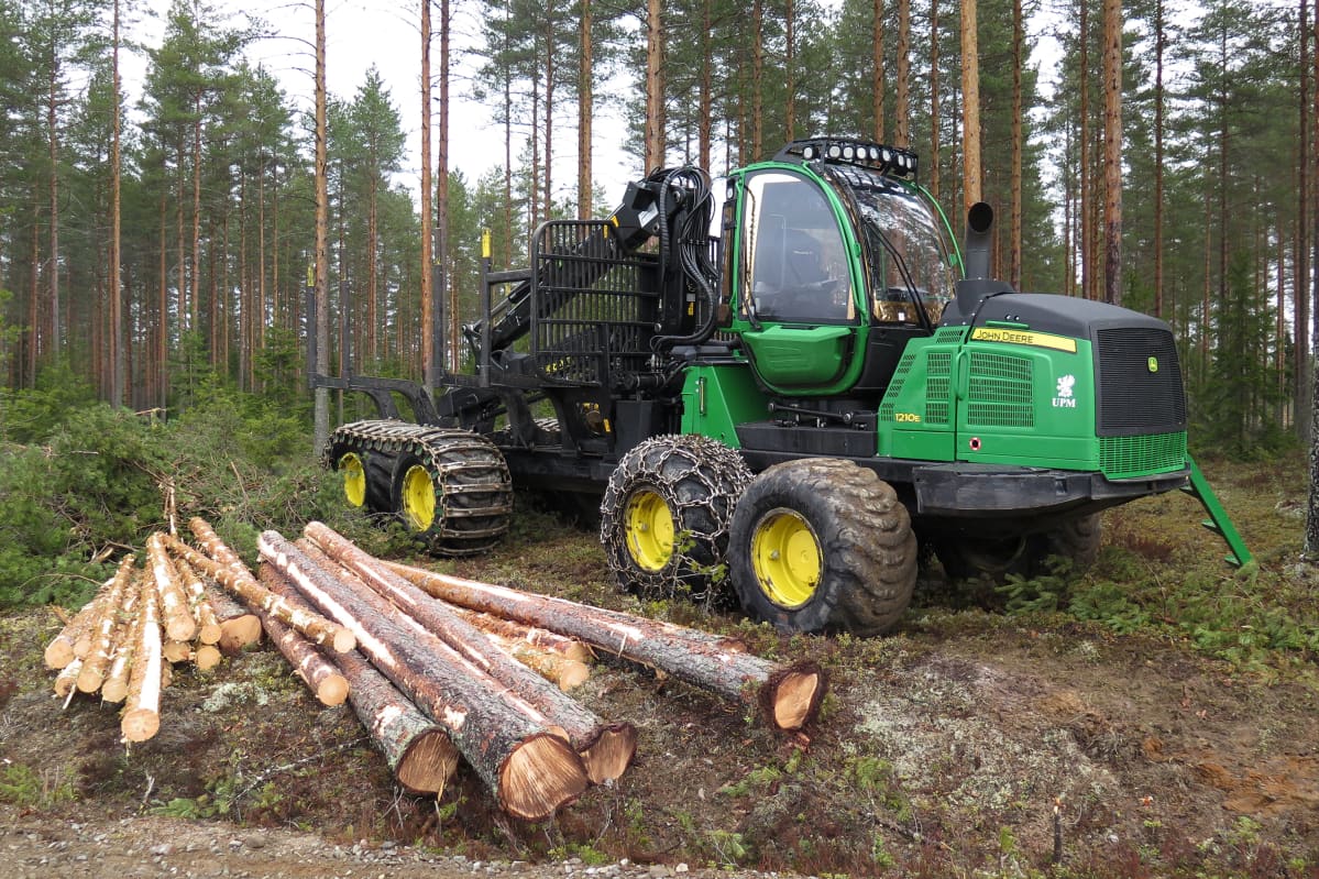 Metsäkone hakkuutyömaalla.