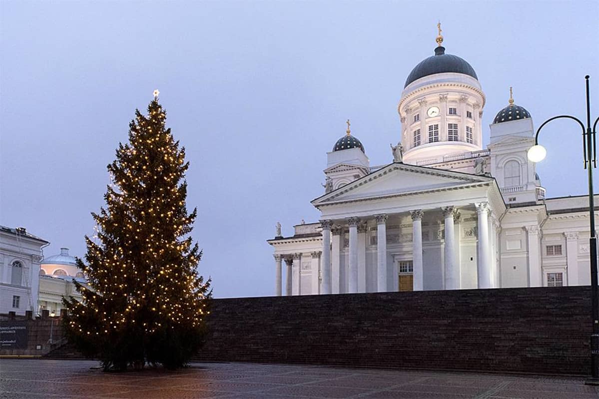 Senaatintorin joulukuusi.