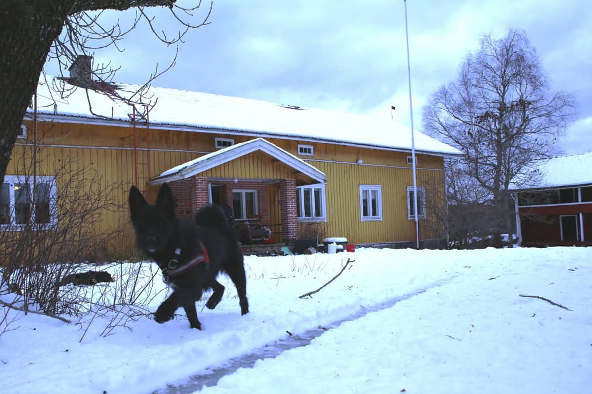 Livonsaaren yhteisökylä, ylätalo