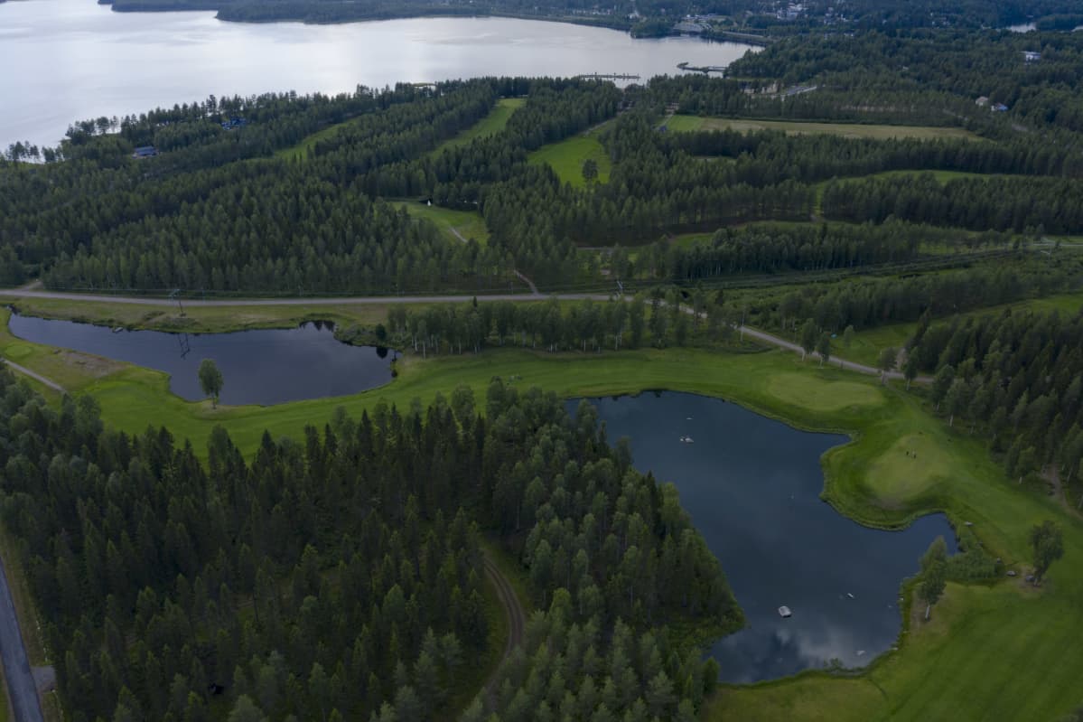 Paltamon golfkenttä.