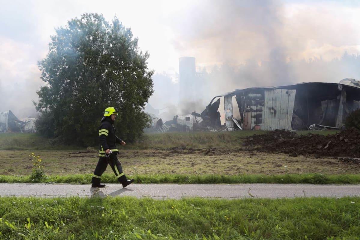 Halikon kynttilätehtaan rauniot