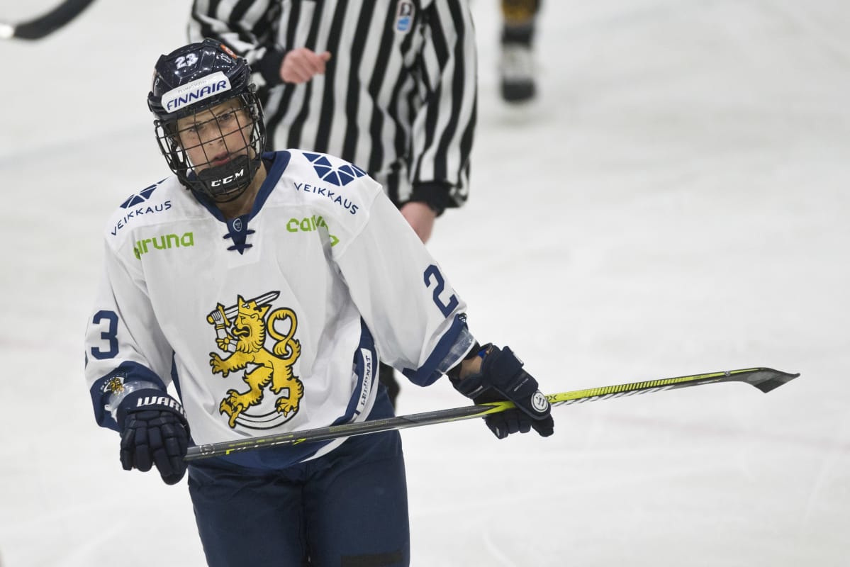 Sanni Hakala, Naisleijonat, v. 2017