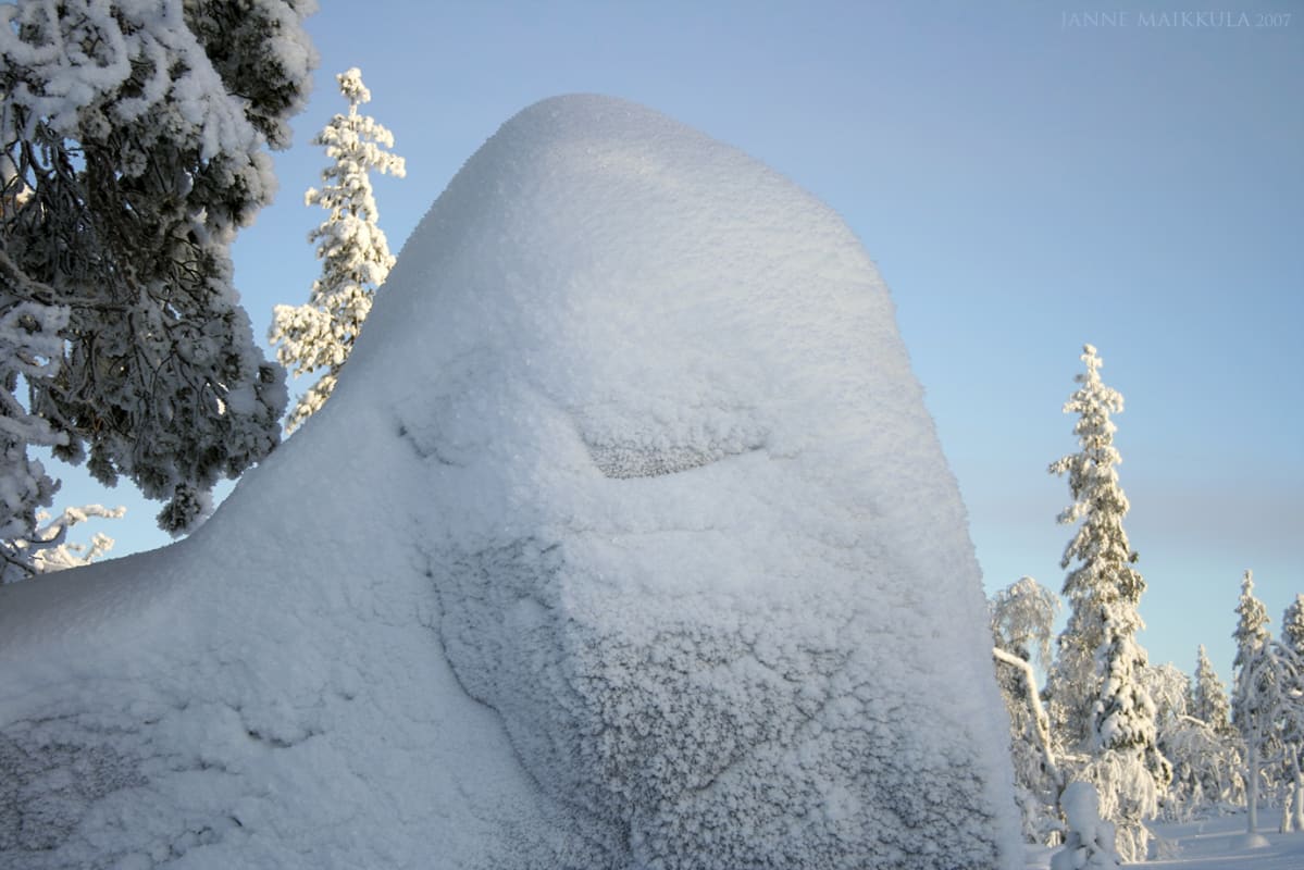 Näetkö tässä Janne Maikkulan kuvassa kasvot?