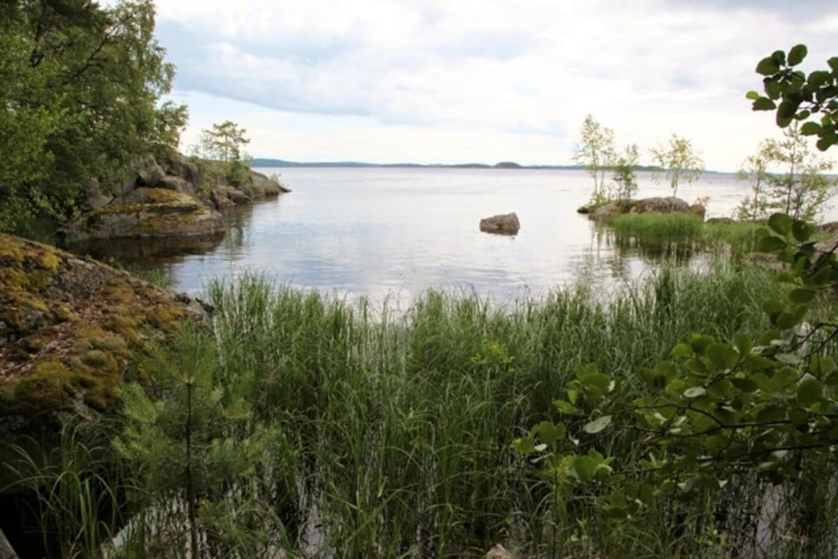 Pihlajasaari Helsinki