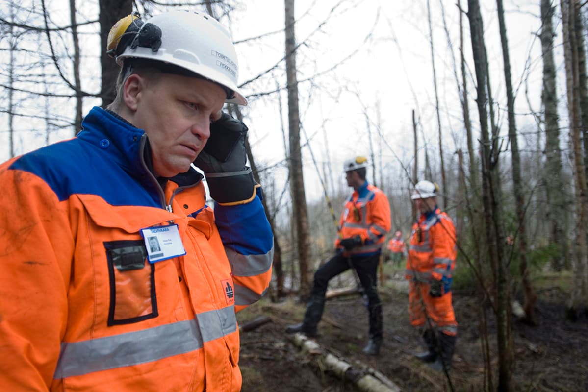 suojakypäräpäisiä miehiä metsässä