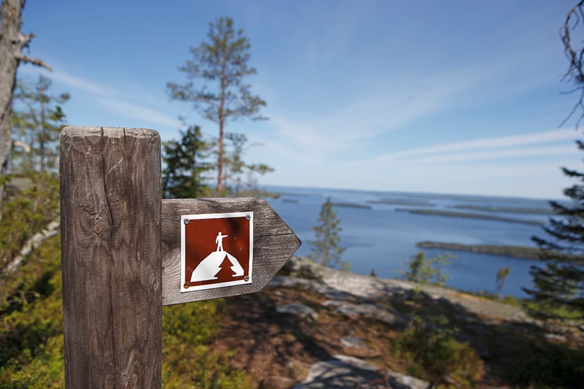 Kolin kansallispuistossa keväisenä päivänä.