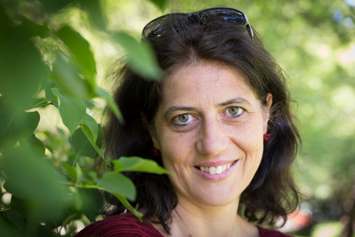 Judit Berg