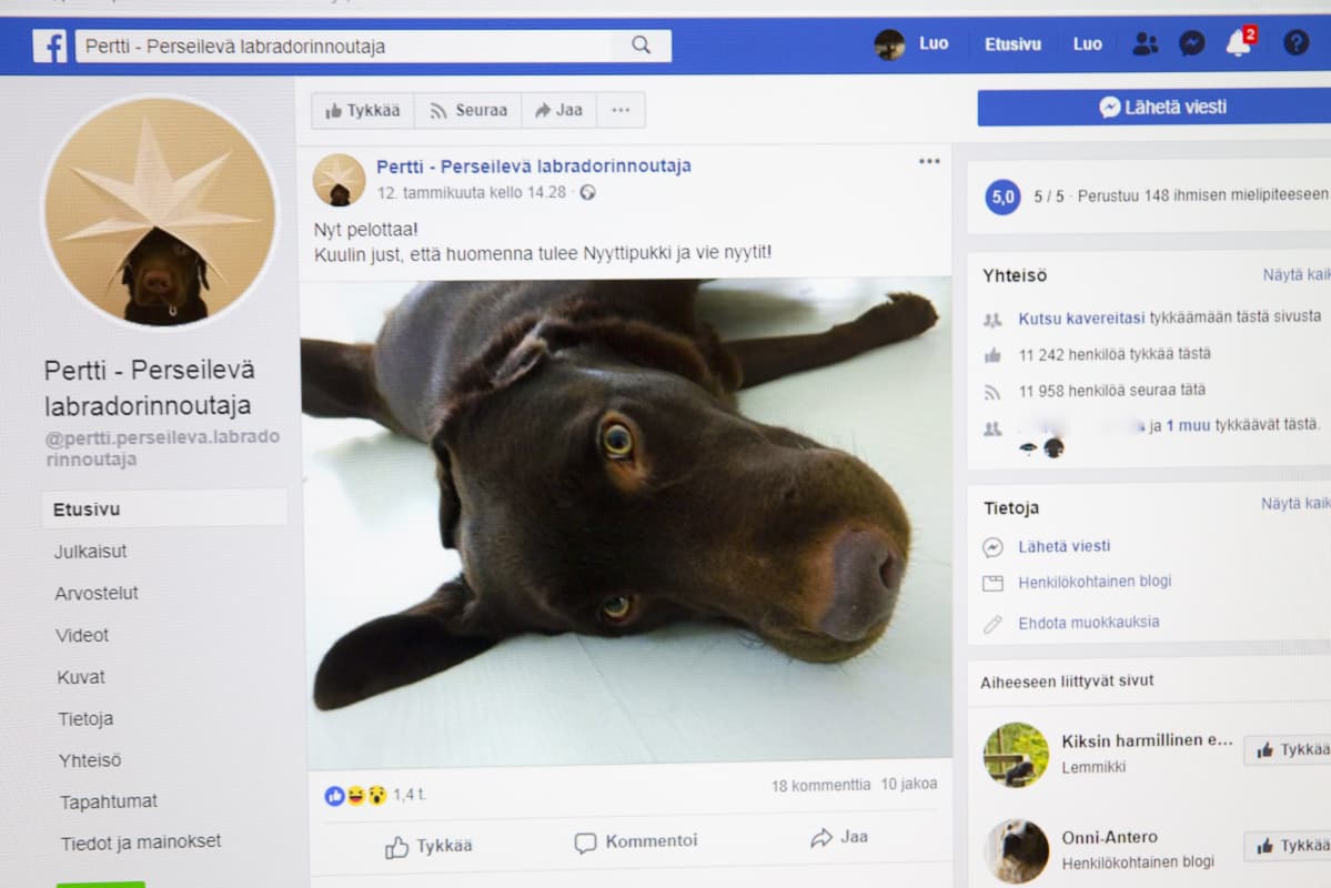 Somekoira Pertti Perseilevä Facebook sivu