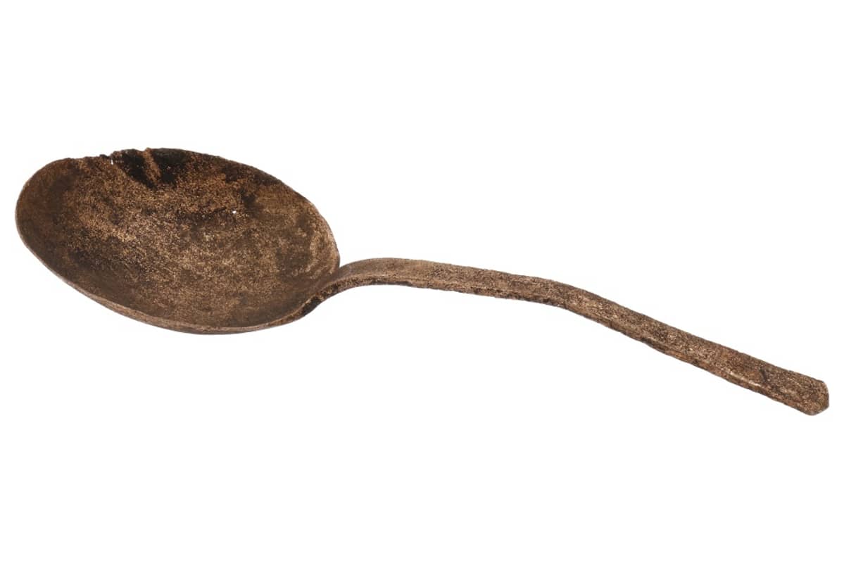 Puulusikka