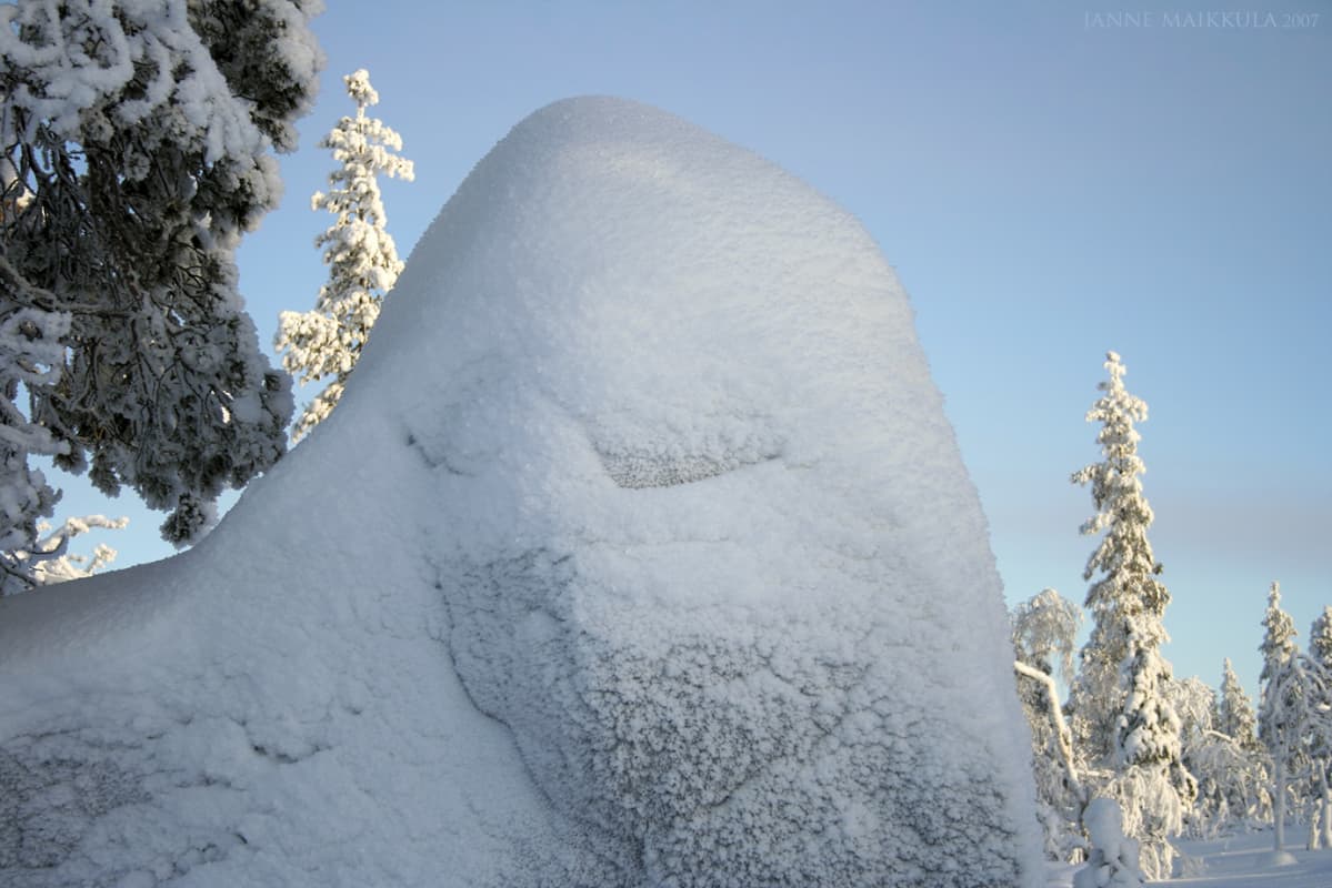 Näetkö tässä Janne Maikkulan kuvassa kasvot?