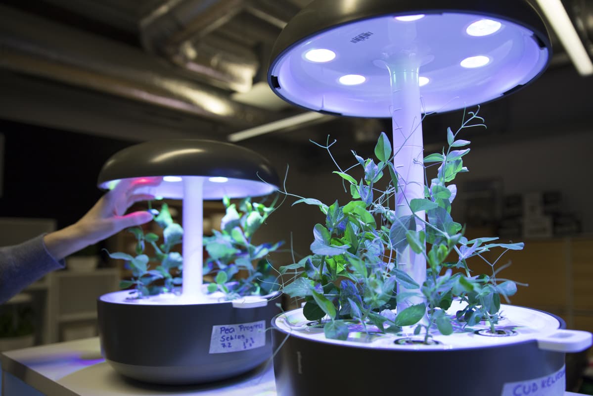 Plantuin älypuuutarha