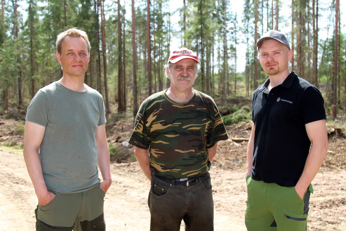 Miehet metsässä