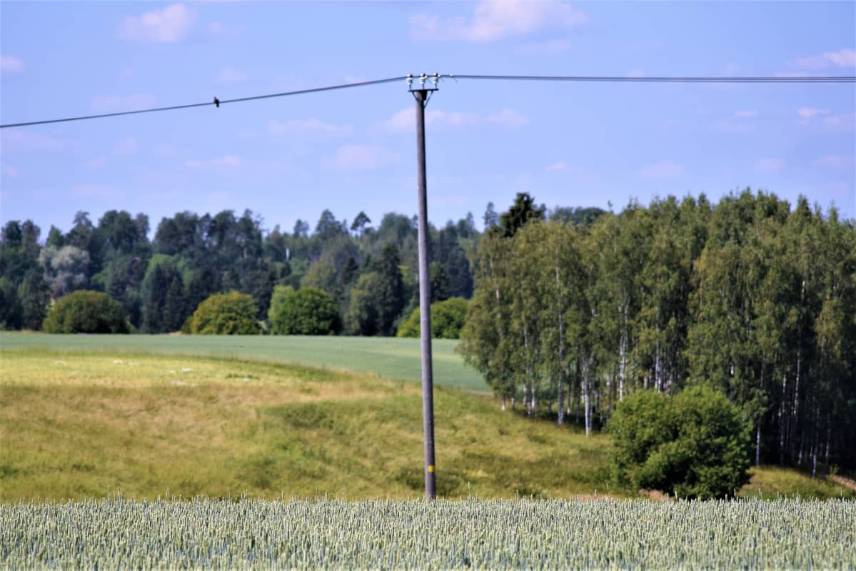 DSC_0300.jpg_UUSIMAA.jpg