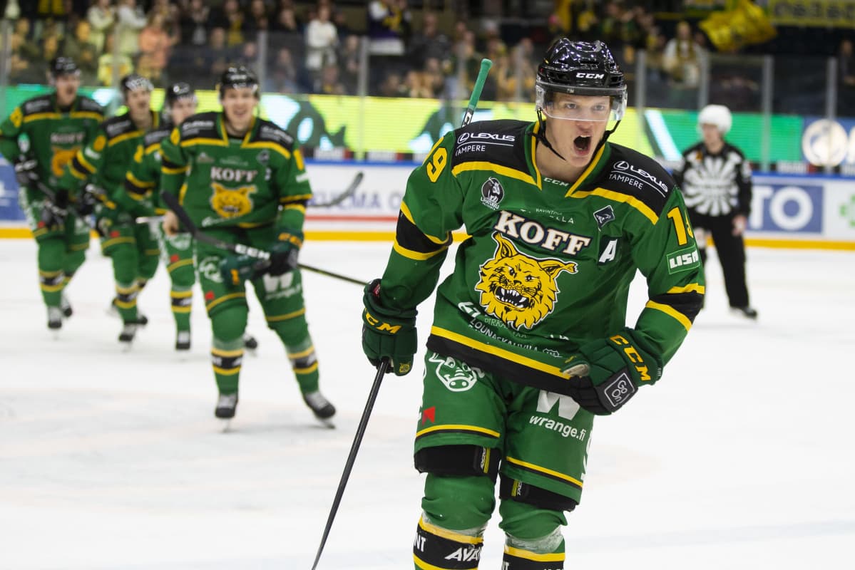 Ilves