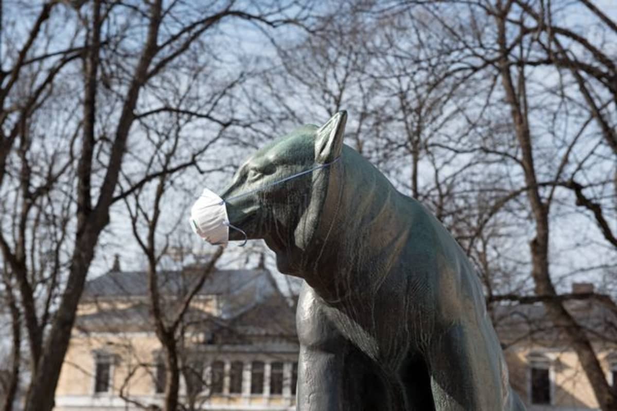 Porin Raatihuoneen puiston Karhu-patsas on saanut kuonolleen kasvomaskin.