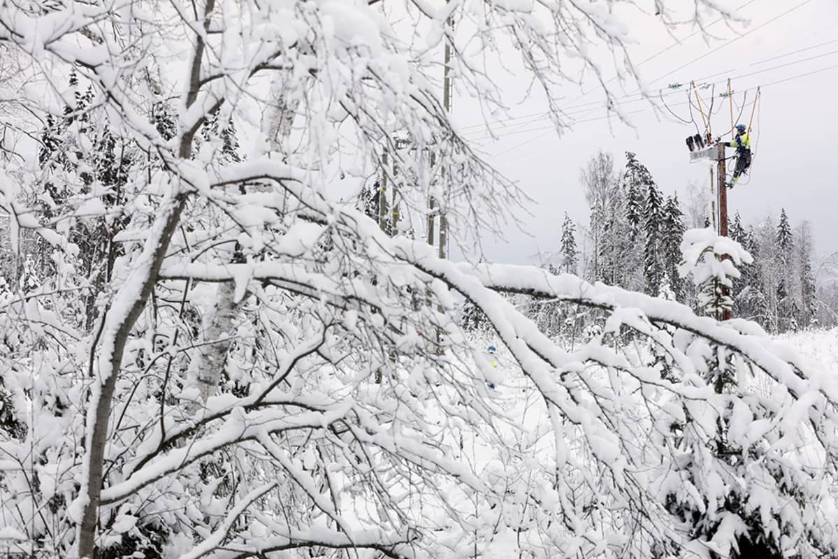 Sähköverkkoja kunnostettiin Keski-Suomessa maanantaina viikonlopun runsaiden lumisateiden ja sähkökatkojen jäljiltä.