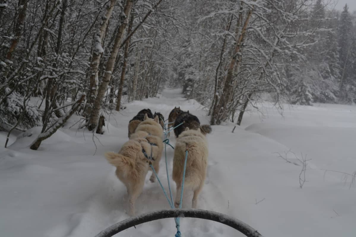 Sielu lepää luonnon hiljaisuudessa ja äänettömässä kyydissä.