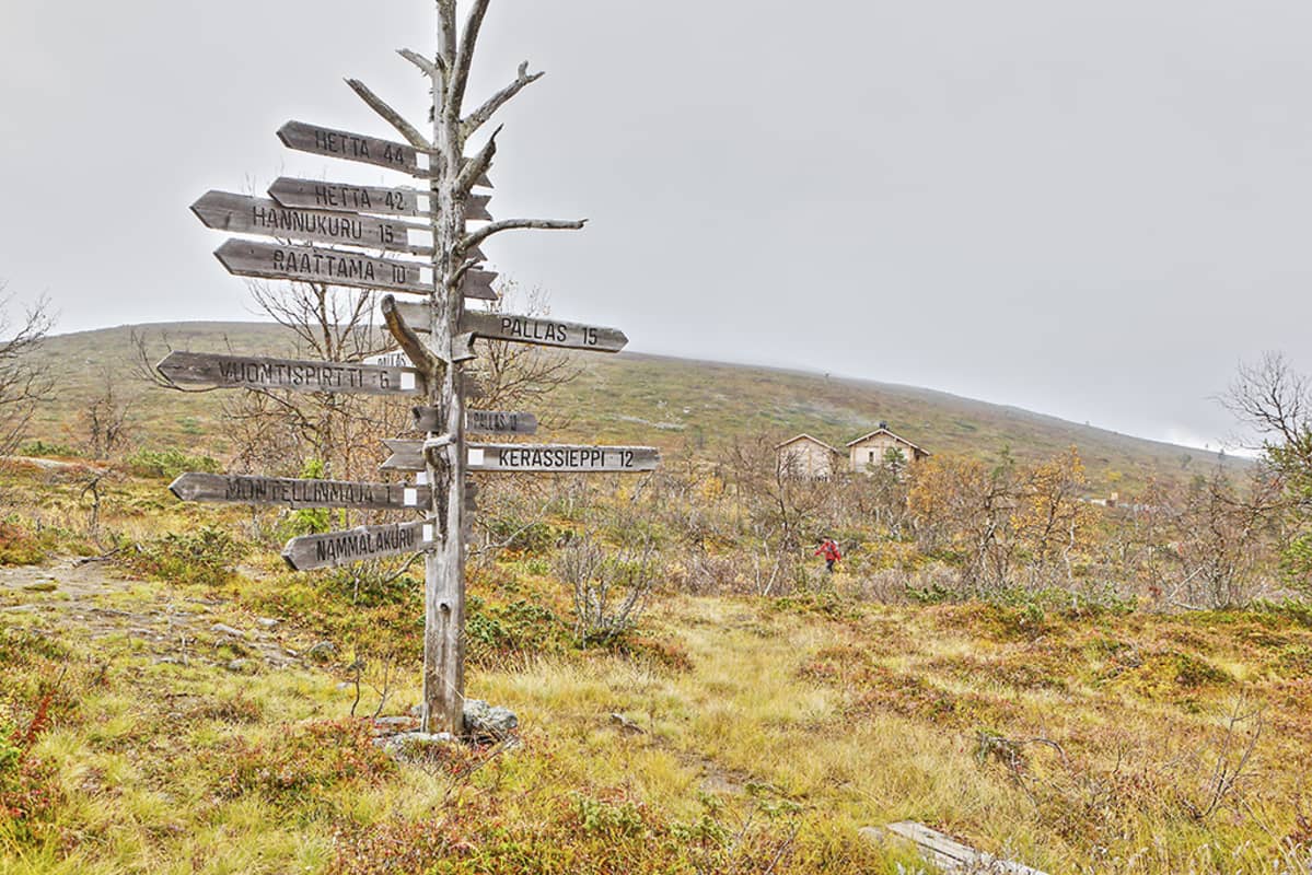 Pallaksen nammalakurusta, taustalla uusi metsähallituksen varaustupa.