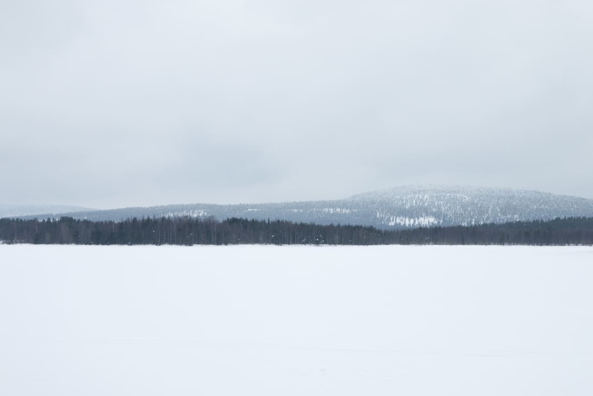 Lankojärvi